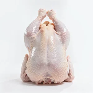 Frozen Chicken Body Halal Frozen Whole Chicken Whole Halal Chicken