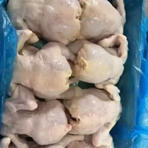 Frozen Chicken Body Halal Frozen Whole Chicken Whole Halal Chicken