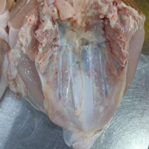 Frozen Chicken Breast with Skin and Bones Sourced Directly From Chinese Factory