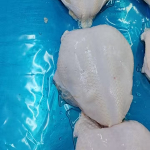 Frozen Chicken Breasts with Skin and Bone Are Suitable Retail The Market