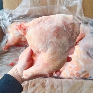 Frozen Chicken Ground Meat for Commercial Kitchens Food 1000g Bulk Packaging