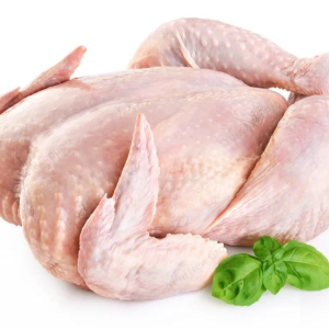 Frozen Chicken Halal Frozen Whole Chicken in Reasonable Price