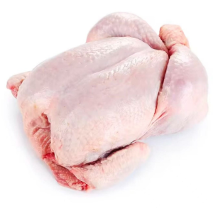 Frozen Chicken Meat Halal with ISO Certification for Quality Assurance