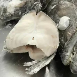 Frozen Chilean Seabass