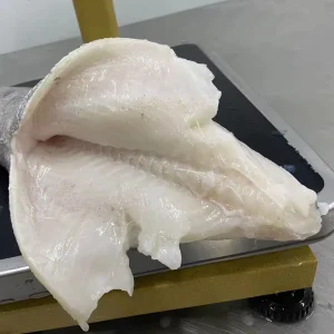Frozen Chilean Seabass HGT 2-4 6-8 10-12