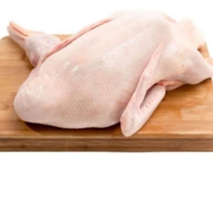 Frozen Duck Carefully Packed to Preserve Natural Taste and High Protein Content