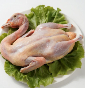 Frozen Duck in Stock Supply Large Quantity for Better Price