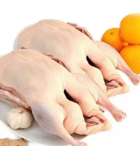 Frozen Duck with Halal and Kosher Certifications