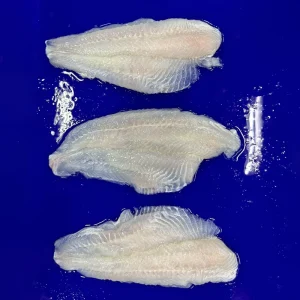 Frozen Fish Pangasius Hypophthalmus Fillet Basa Fish IQF Trim Pangasius Fish Farming