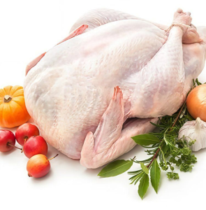Frozen Fresh Chicken From China Quality Frozen Whole Halal Chicken
