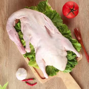 Frozen Fresh Duck with Breast Meat