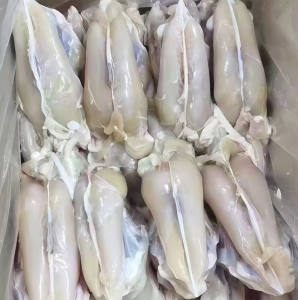 Frozen Halal Chicken Breast Fillet Without Skin and Bone