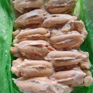 Frozen Halal Chicken Breast Fillet Without Skin and Bone