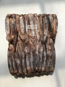 Frozen Illex Squid Argentina Squid Whole Round Seafood