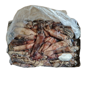 Frozen Indian Squid 100-300g for Export