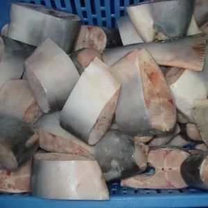 Frozen Pangasius Basa Dory Steak Skin On Bone in Basa Steak