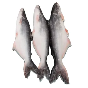 Frozen Pangasius Basa Fish Frozen Pangasius Fish Swai Offered for Supply
