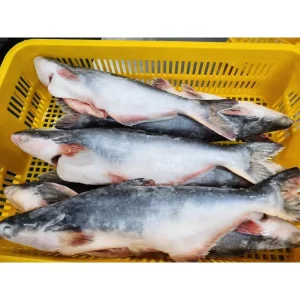 Frozen Pangasius Basa Fish Pangasius Fish Basa Fish Whole Round