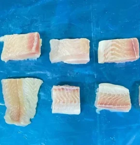 Frozen Pangasius Cut Cube From Vietnam Good Quality Fish Product Kingsun Foods 20 40mm IQF Freezing Process