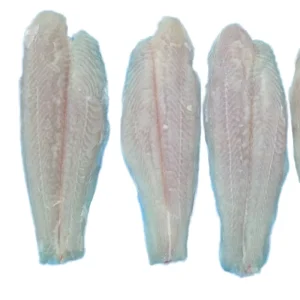 Frozen Pangasius Fillet Basa Fish Vietnam