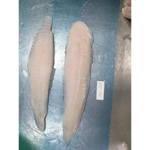Frozen Pangasius Fillet Basa Fish Vietnam Untrimmed Interleaved Block Skinless Boneless Price