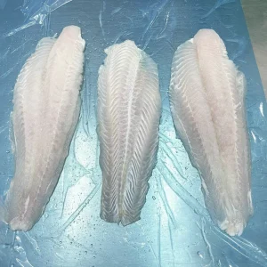 Frozen Pangasius Fillet Vietnam Basa Fish Fillet Price White Fish Fillet Pangasius