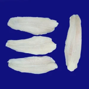 Frozen Pangasius Fish Fillet Fresh Seafood Standard Origin Price Frozen Basa Fillet in Vietnam
