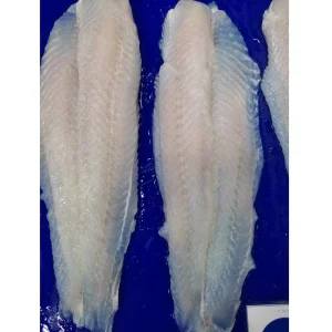 Frozen Pangasius Fish Fillets Basa Fish From Vietnam Frozen Pangasius Fillet Well Trimmed Price