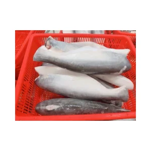Frozen Pangasius HGT Headed Gutted Tail Off to Africa Market Pangasius