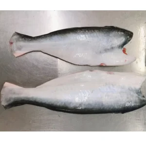 Frozen Pangasius HGT Vietnam Pangasius