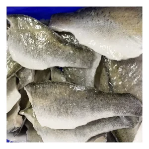 Frozen Sea Bass Fish Fillet Whole Round Sea Bass