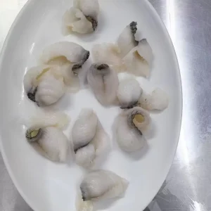 Frozen Snakehead Fish Fillets