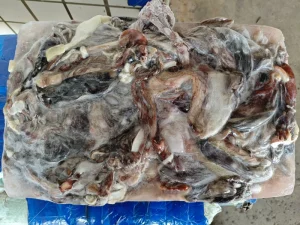 Frozen Squid Skin