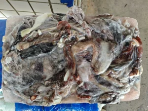 Frozen Squid Skin with Strong Productive Capacity and Competitive Prices