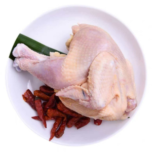 Frozen Suit Chicken