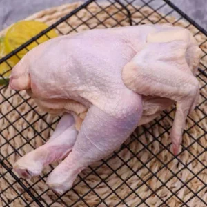 Frozen Suit Chicken