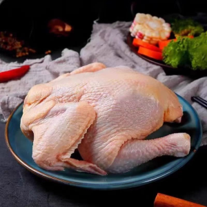 Frozen Suit Chicken Suitable for Children