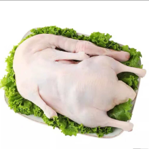 Frozen White Duck Meat Rich in High Quality Protein and Amino Acids