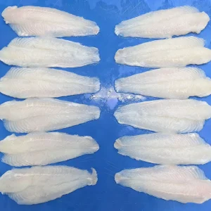 Frozen White Pangasius Basa Fish Fillets Skinless Boneless IQF 3-5oz Seafood From Vietnam