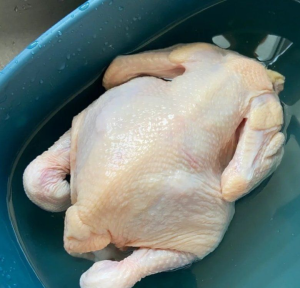 Frozen Whole Chicken Brazil Halal Clean