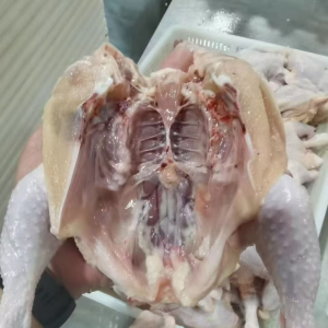 Frozen Whole Chicken Can Be Roasted as a Whole