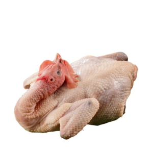 Frozen Whole Chicken Factory Directly Supply
