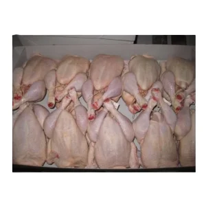 Frozen Whole Chicken From China