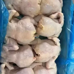 Frozen Whole Chicken Good Selling with High Quality and Low Price