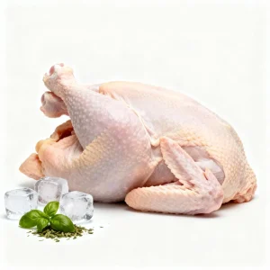 Frozen Whole Chicken Halal Certified Quality From China