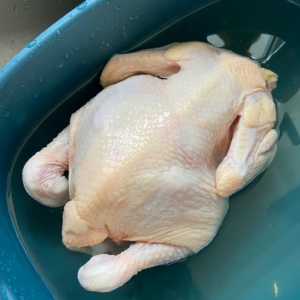 Frozen Whole Chicken Halal with Grade A and Plastic Packaging