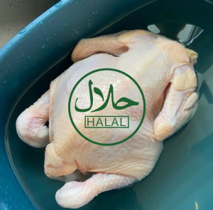 Frozen Whole Chicken Panic Buying