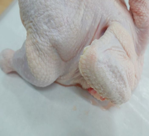 Frozen Whole Chicken Supplier Poultry Exporter Clean Chicken Meat IQF Processing Factory International Supply