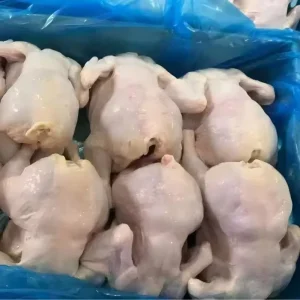 Frozen Whole Chicken Top Selling with High Quality and Low Price