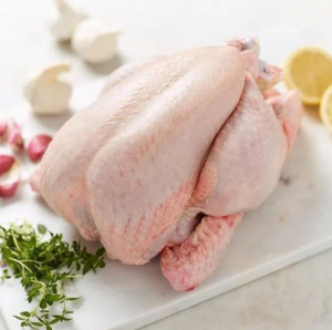 Frozen Whole Chicken Whole Frozen Chicken Available for Fresh Chicken Whole
